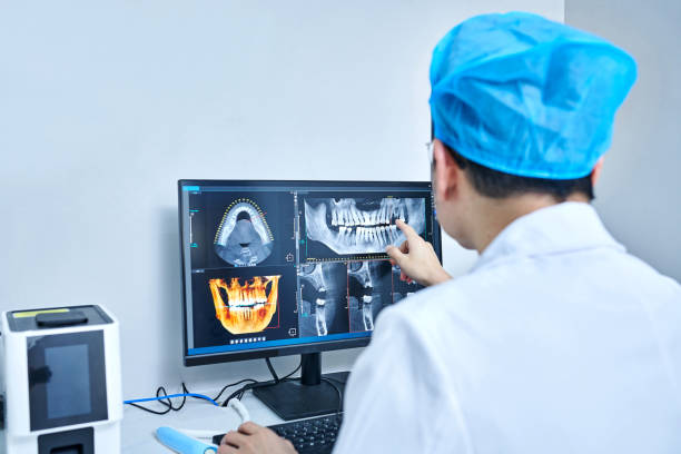 Best Emergency X-Rays and Diagnostics in Quincy, MI